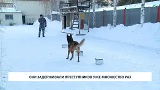 Они задерживали преступников уже множество раз