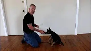Touch Desensitisation: Nail Clipping