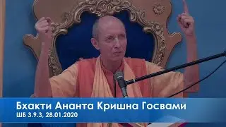 Бхакти Ананта Кришна Госвами, ШБ 3.9.3, 28.01.2020