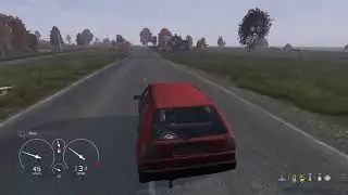 DayZ