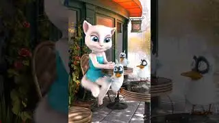 [asmr] talking Angela bird table #talkingangela #birdtable birdtable #asmrtalkingangela