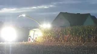 #Lohnunternehmen Richter-Reckeweg GmbH #Claas Power 100%  #Mais Häckseln 2020 sound Pur #GoPro ( 4K)