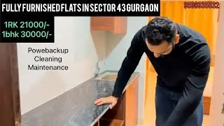 Flats in Gurgaon sector 43 1bhk 1Rk golf course road