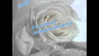 Souvenir de gregory lemarchal 9 ans déjà