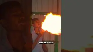 Sugar Fuel