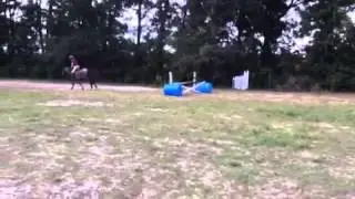 Sonny jump