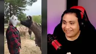 (reaccion videos graciosos) numero # 55595 🤣🤣🤣