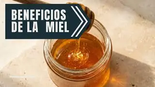 🍯 Miel Pura: El Dulce Natural que Sana tu Cuerpo y Fortalece tu Salud | Beneficios