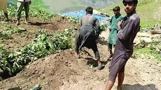 Laadi Tradition  | Living in Harmony with Nature | Tribal Culture of the Mountains