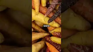 The Surprising Origin of Carrots!