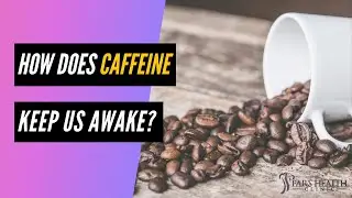 How does caffeine keep us awake?