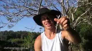 How to make a Cracker for a Stock Whip - Nathan Griggs