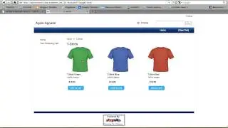 ShopSite Setup Wizard - Getting Started With ShopSite