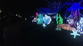 Glowing Wild Lantern Festival, Part Cuatro