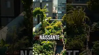 Transformez votre ville! #RooftopFarming #UrbanGreen