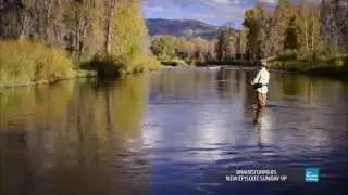 BrainStormers: Weather & Fish