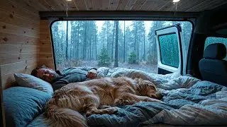 Sueño Profundo con Lluvia junto a la Ventana de la Caravana en el Bosque Nublado (99% al Instante)
