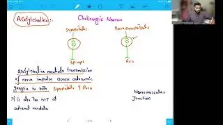 L4 Chemical signaling, Cholinergic and adrenergic neurons and signal transduction