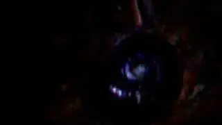 Bay of Islands New Zealand Adventure Puketi Nocturnal Wildli