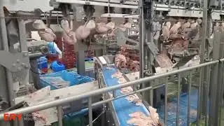Marel FHF Chicken Deboning Line &ndash; Front Half Filleting System for Poultry Processing | ERY Food