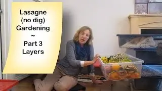Lasagne (no dig) Gardening. Part 3 &ndash; Layers