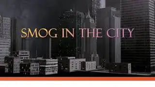 Excel 7 module 4 Smog in the City