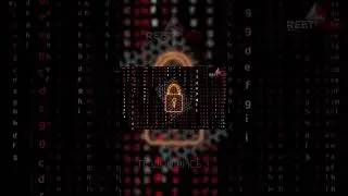 Ваше ДНК &mdash; это не программа, а пианино. Вот кто играет на нем. 🎹