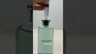 Louis vuitton imagination