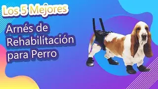 Los 5 Mejores Arn&eacute;s de Rehabilitaci&oacute;n para Perro