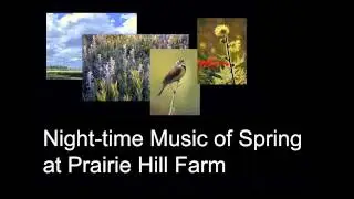 Night time Spring Music at Prairie Hill Farm