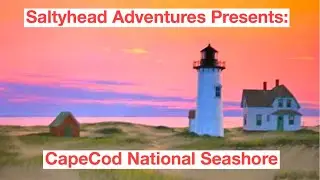 Cape Cod National Seashore with Saltyhead