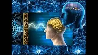 P – Plato – Denken - Stichting Culturele Droomwevers - Ricardo Kolleman