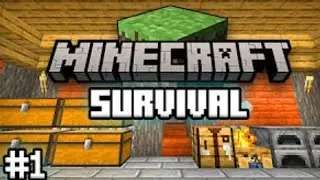 SONO TORNATO SU MINECRAFT VANILLA!!!! #1