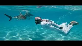 Arab Man Chased by Sharks in the Persian Gulf 🌊🦈 | Intense Underwater Escape!