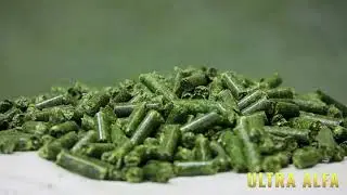 High-Quality Alfalfa Pellets for Horses and Livestock | Ultra Alfa by Alimentos USA