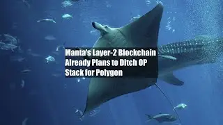 Manta's Layer-2 Blockchain Already Plans to Ditch OP Stack for Polygon