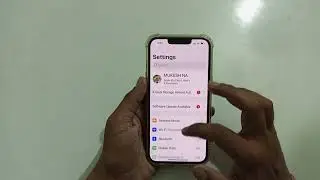 how to check ICCID number in iPhone mobile/iPhone useful setting