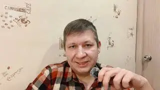 Куда пропал Путин и что с Кадыровым? Волхонский