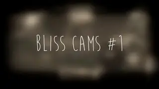 Bliss - Cams #1