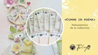 Pr&eacute;sentation de la collection 