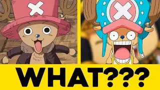 Chopper Got A NEW Hat
