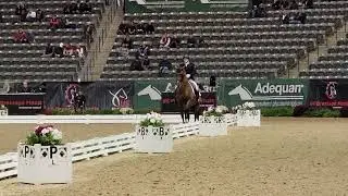 2021 US Dressage Finals Grand Prix Elfenperfekt and Abraham Pugh