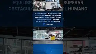 Robot UMV: equilibrio y acrobacias con IA