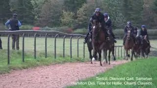 Second Lot  - Cantering -  27 10 21