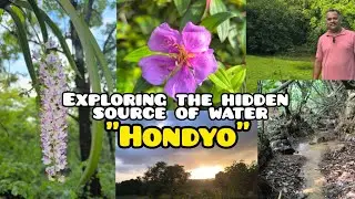Exploring the hidden source of water #viralvideo #explore #nature #goa #beautiful