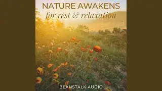 Nature Awakens