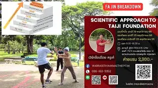 FaJin Breakdown #scientificapproach #martialart #taijiquan #skilldevelopment #fitness #taichi