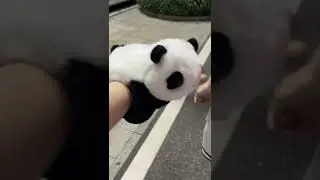 Unisex  Stuffed Animal Slap Bracelets Plush Panda