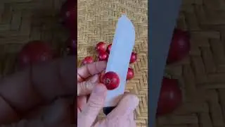 Opening a strawberry guava!! Psidium Cattleyanum. Look inside rare and exotic tropical fruit!