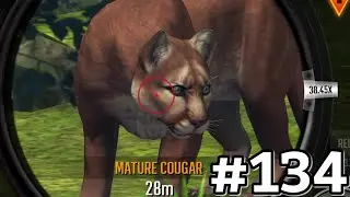 Hunting In New Colorado Day - Deer Hunter 2018 Ep135